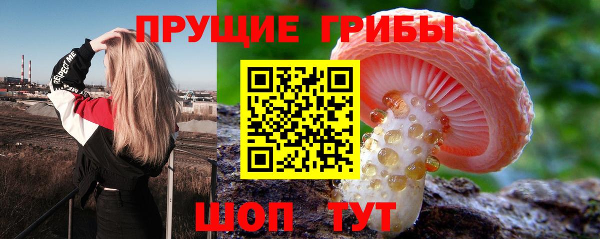 Краснодар  Псилоцибиновые грибы MAGIC MUSHROOMS  Вход с VPN 